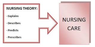 evolution of nursing theories