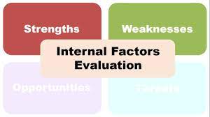 Internal Factor Analysis Summary: IFAS