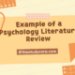 Example of a Psychology Literature Review