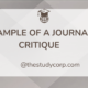 example of a journal critique